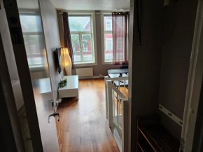 Roomy Apartment near Bakklandet with free parking